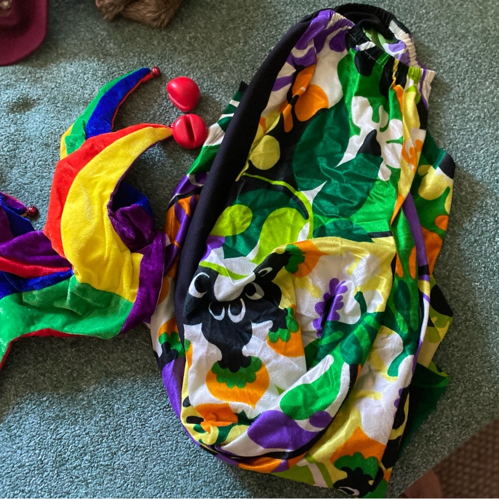 Clown joker colorful costume